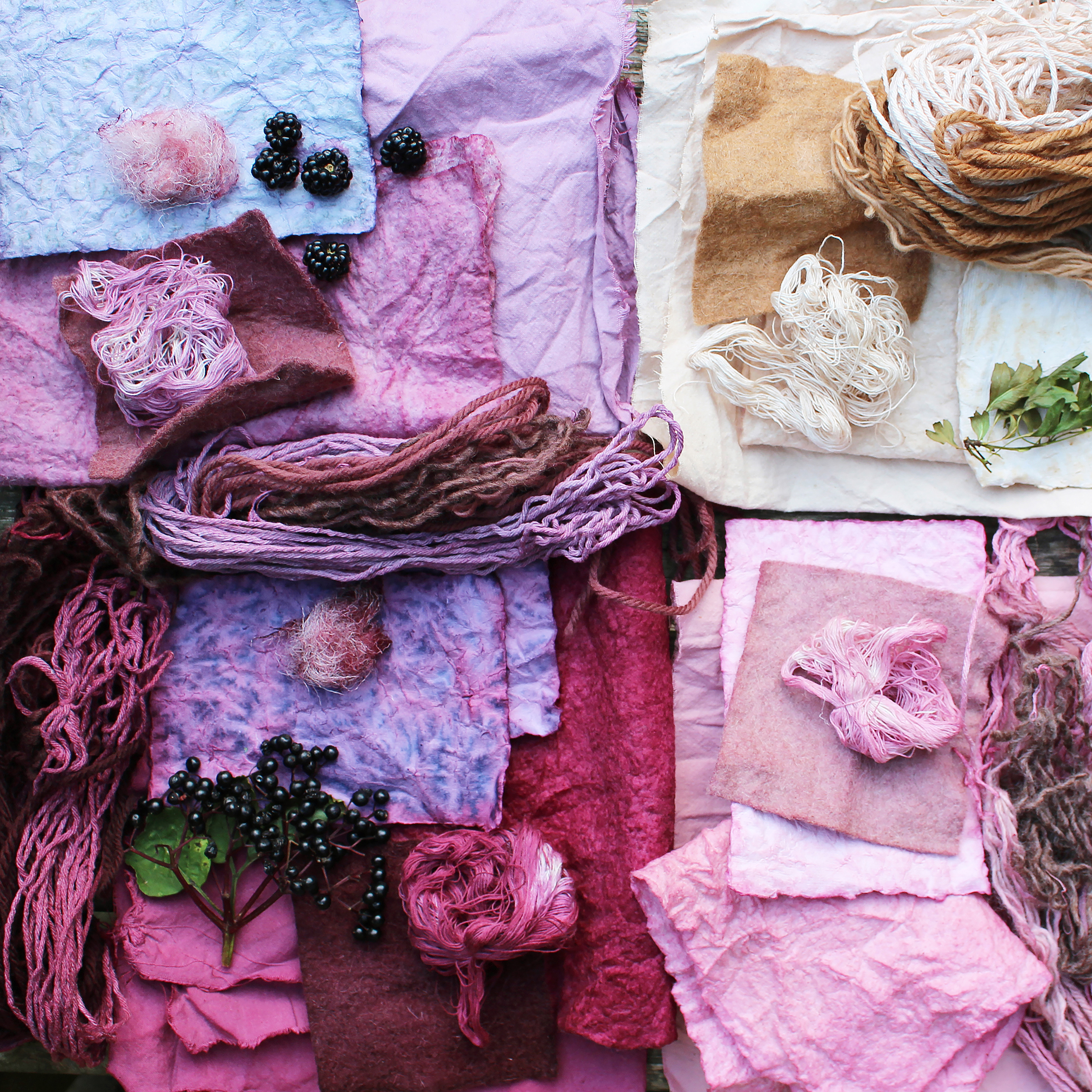 Seasonal Colour Making Hannah Elisabeth Jones x Colour of Saying