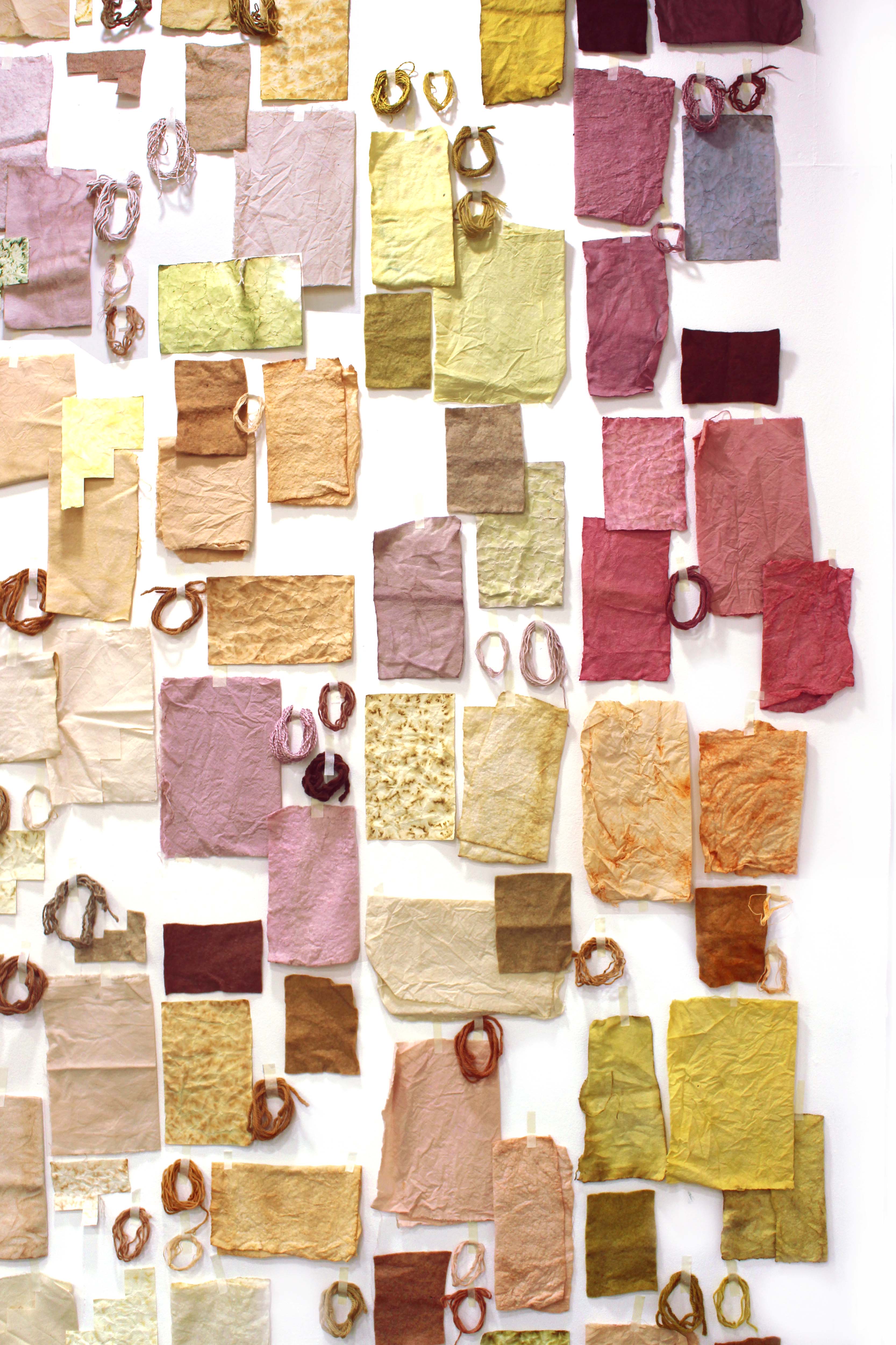 Seasonal Colour Making Hannah Elisabeth Jones x Colour of Saying