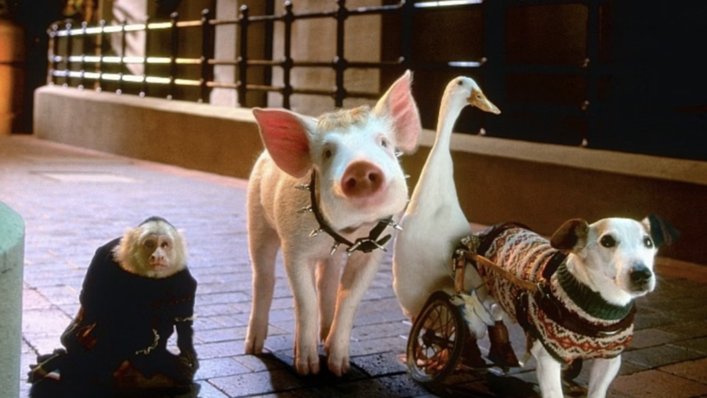 The Nickel Presents - BABE PIG IN THE CITY + MARIA DEAREST ACOUSTIC SET