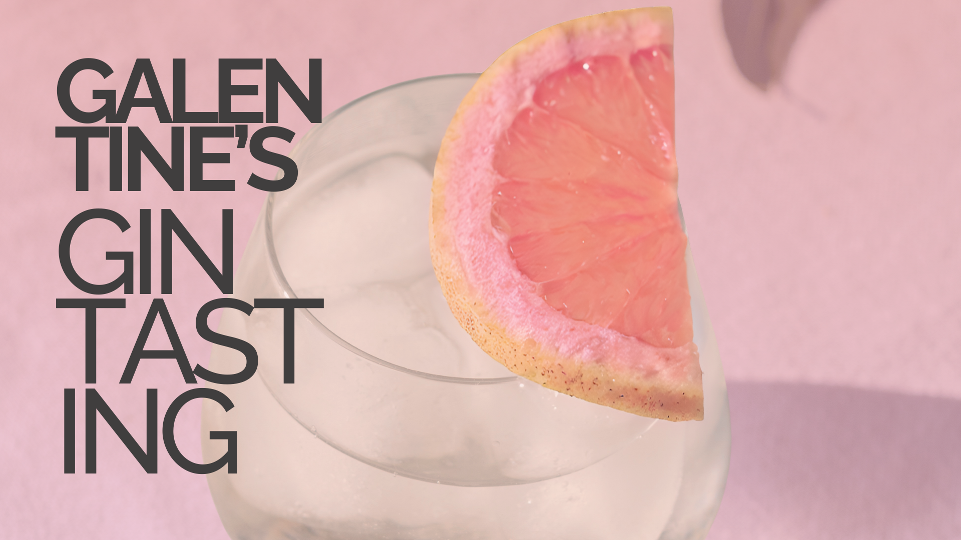 Galentine's Gin Tasting Experience