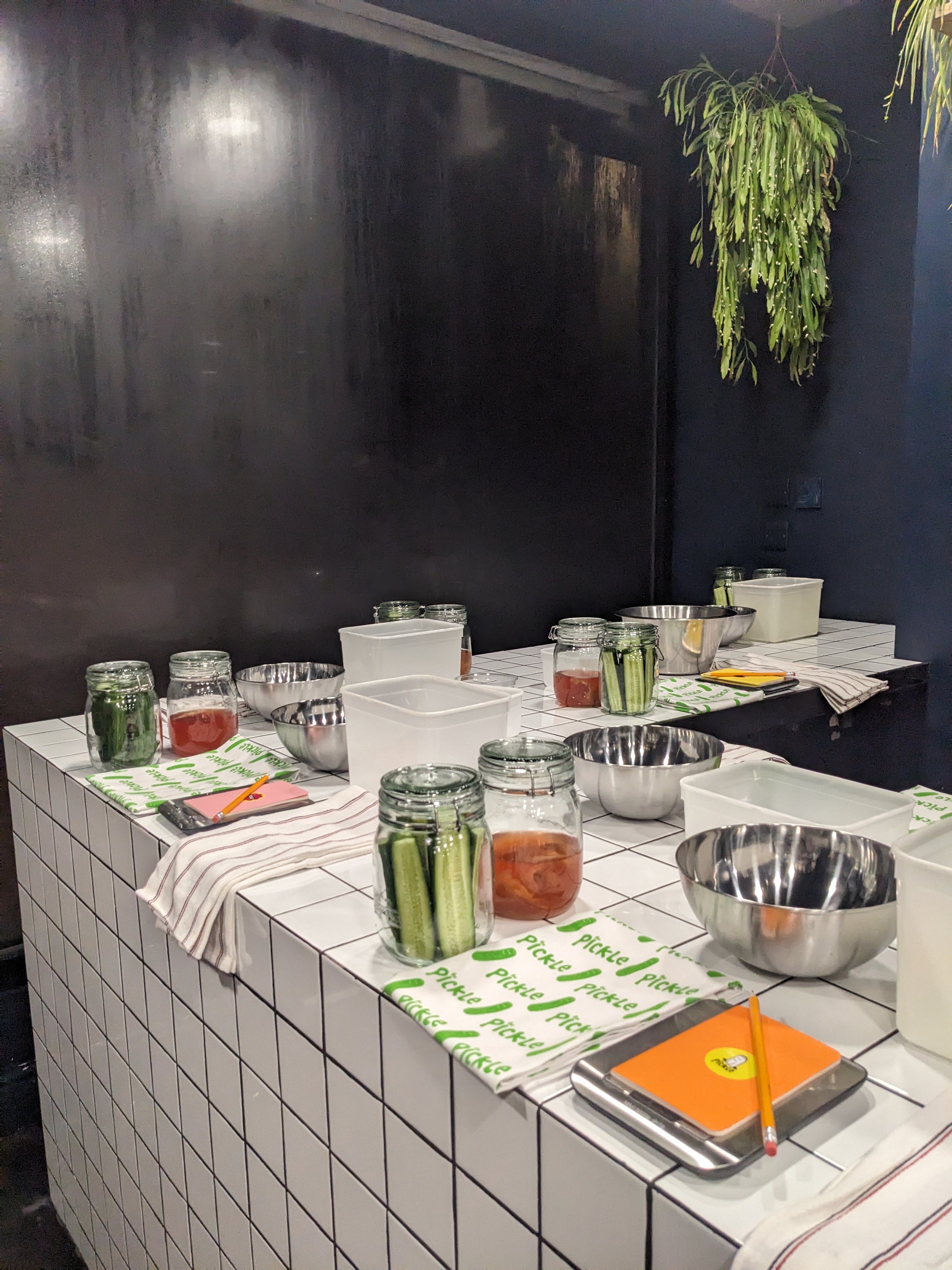 Fermenting at The Pickle (14:00-16:00)