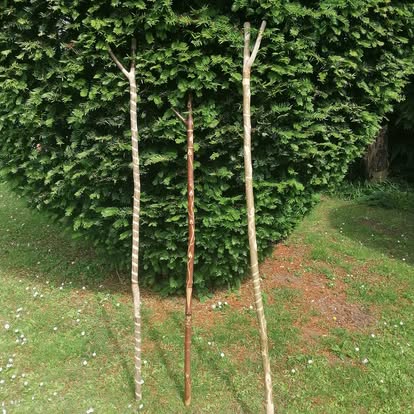 Walking stick making workshop