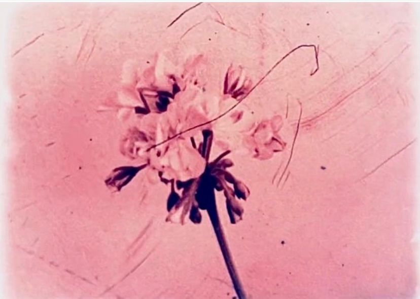 Labo Spirale presents: Film Comrades / Skin, Inscribed
